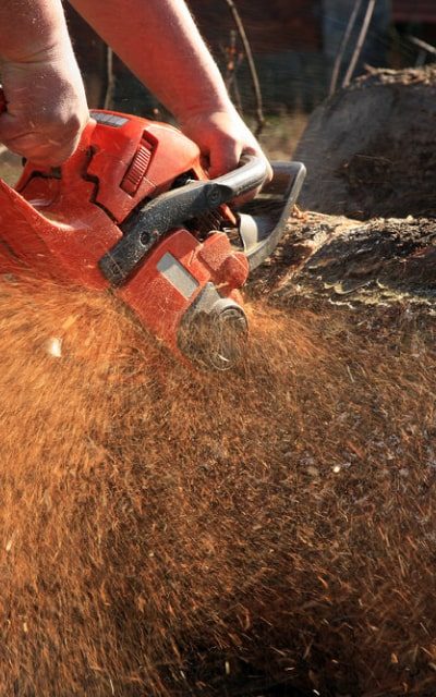wood-tools-img-saw-1-opt wood-tools-img-saw-1-opt
