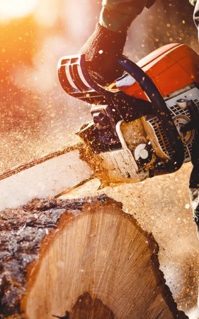 wood-tools-img-saw-2-opt wood-tools-img-saw-2-opt
